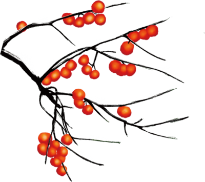 大雪时节红柿香